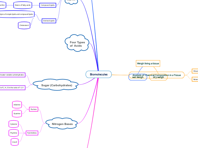 Biomolecules Mind Map